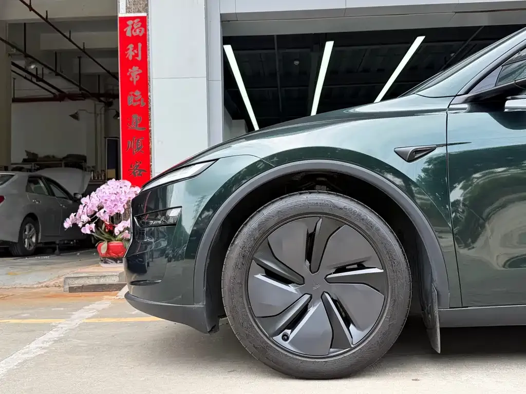 Tesla Model Y — фото 9