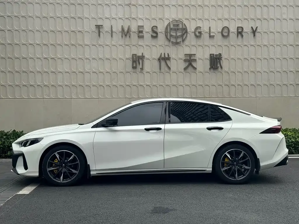 GAC Motor Shadow Leopard 2024 из CN, фото 5