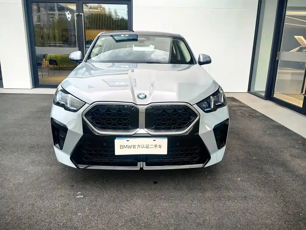BMW X2 (Import) 2024 из CN, фото 10