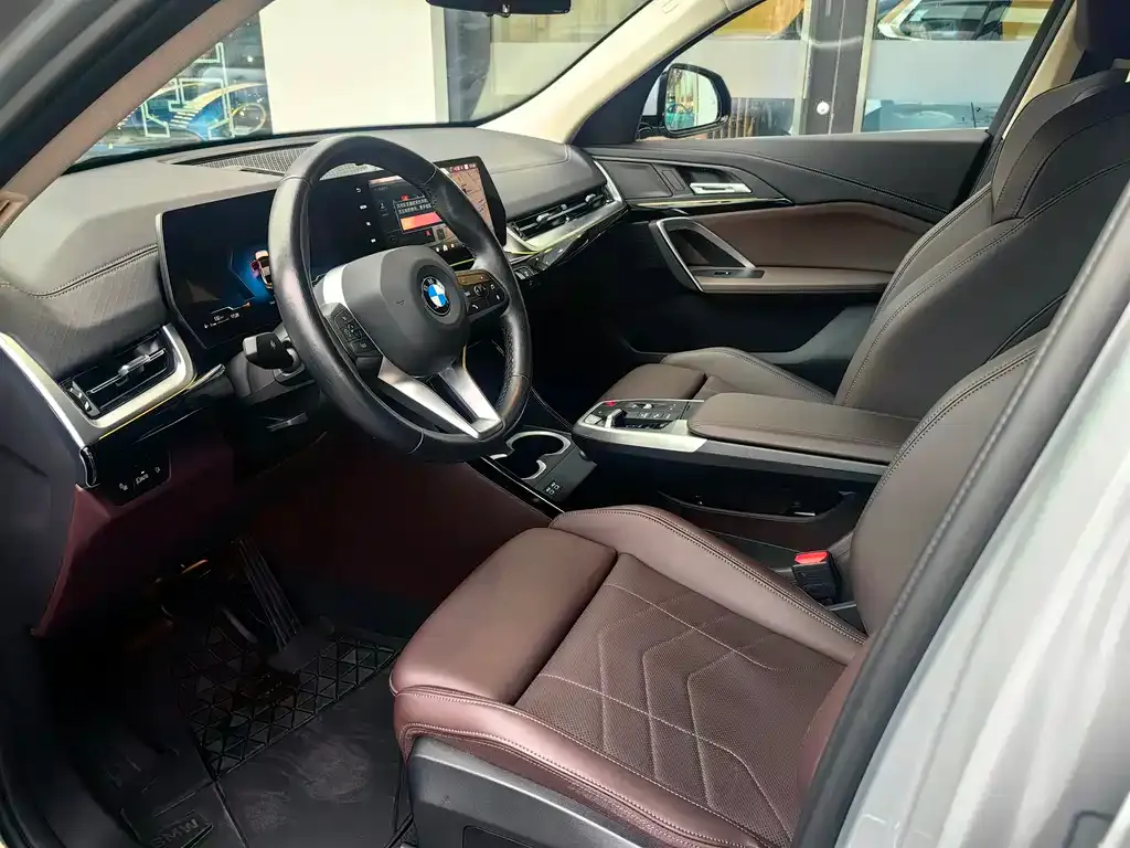 BMW X2 (Import) 2024 из CN, фото 5