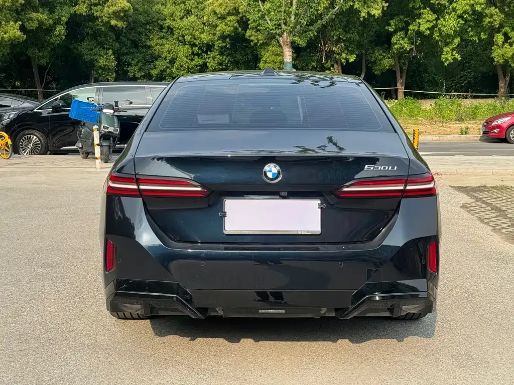 BMW 5 Series 2024 из CN, фото 4