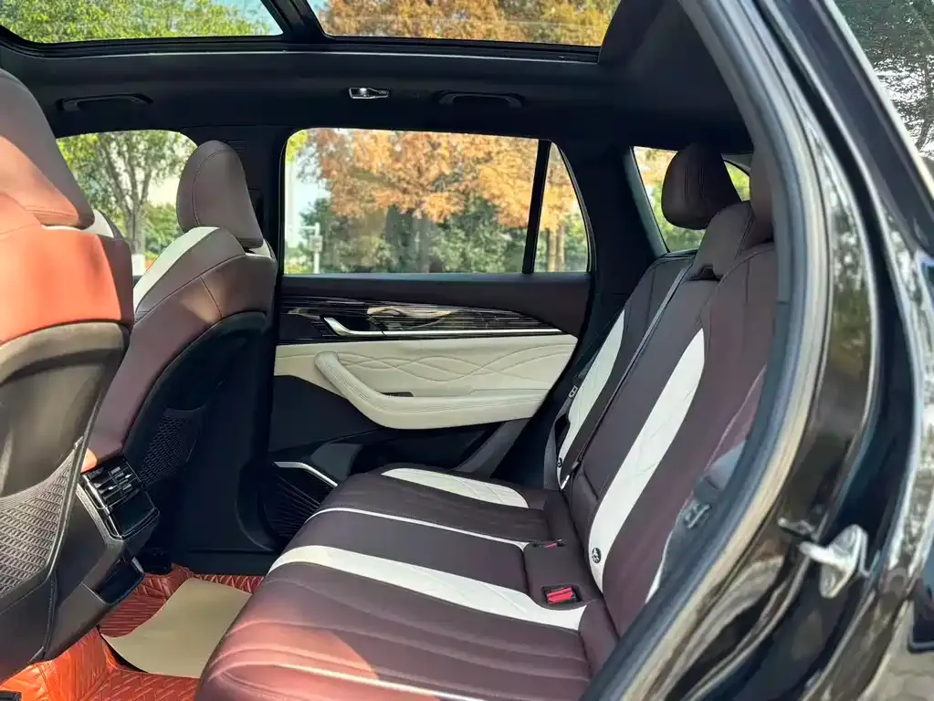 Geely Xingyue L 2024 из CN, фото 6