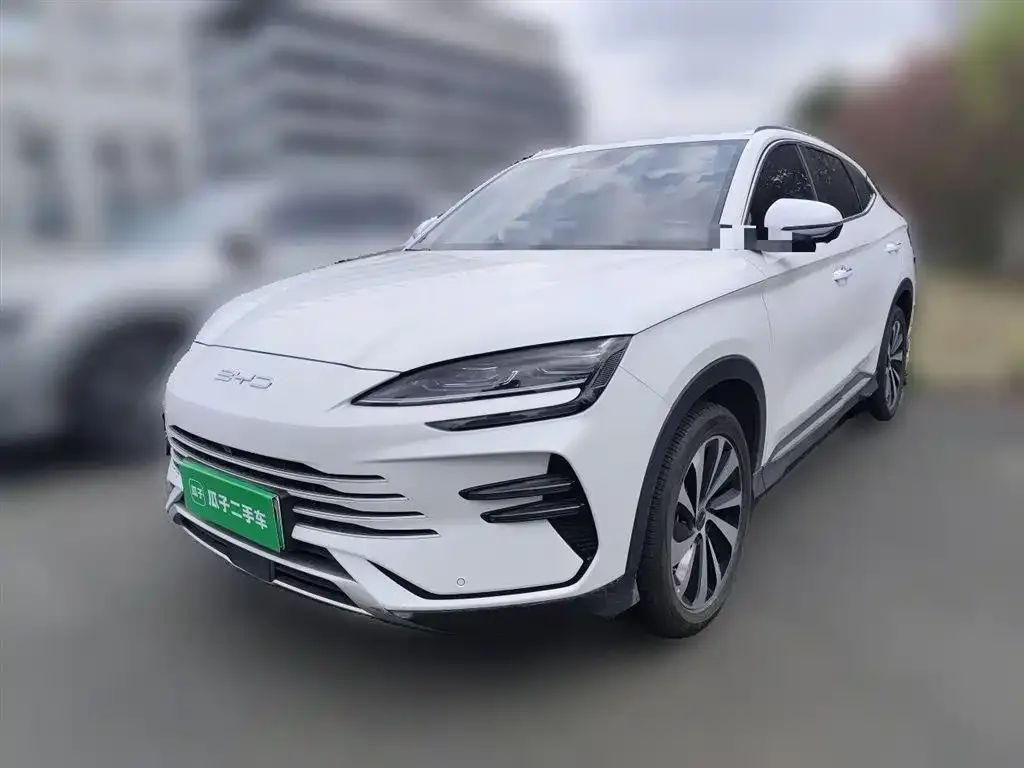 BYD PLUS New Energy — фото 5