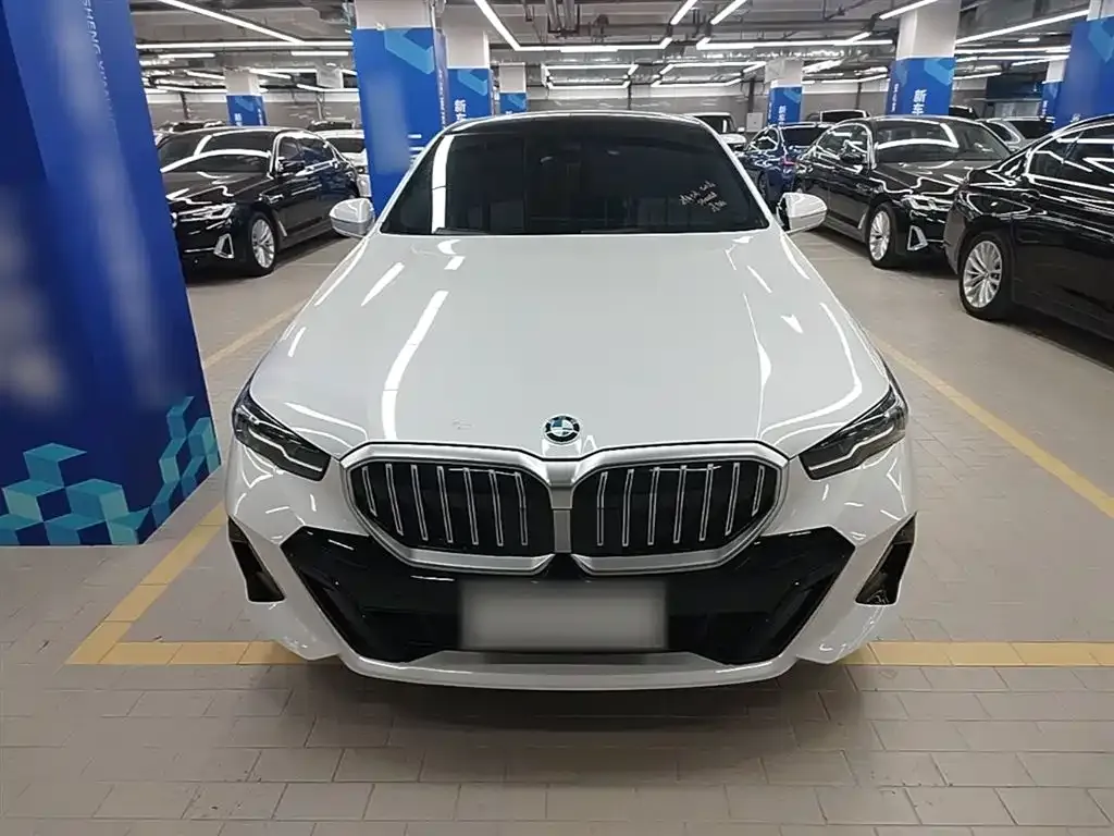 BMW 5 Series 2024 из CN, фото 6