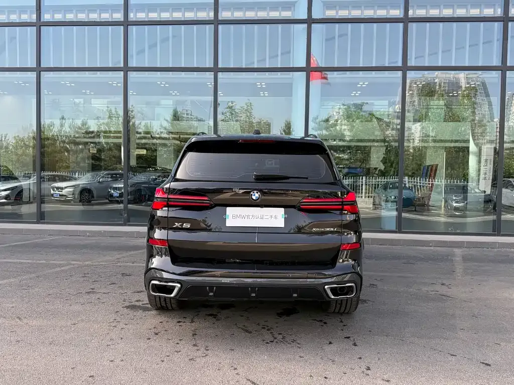 BMW X5 2025 из CN, фото 6