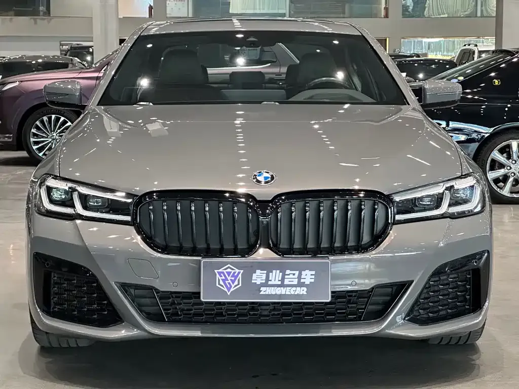 BMW 5 Series (Import) 2022 из CN, фото 6