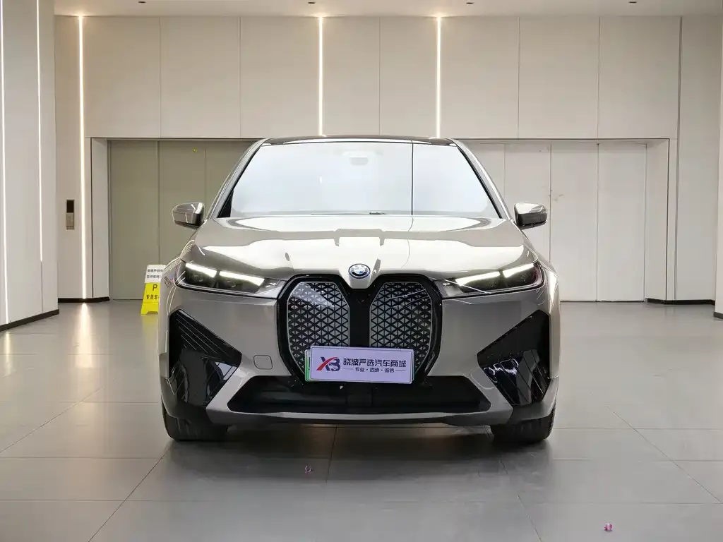BMW iX 2023 из CN, фото 4