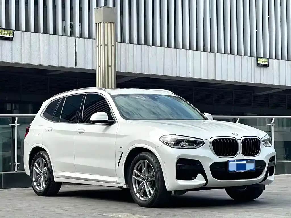 BMW X3 2021 из CN, фото 8