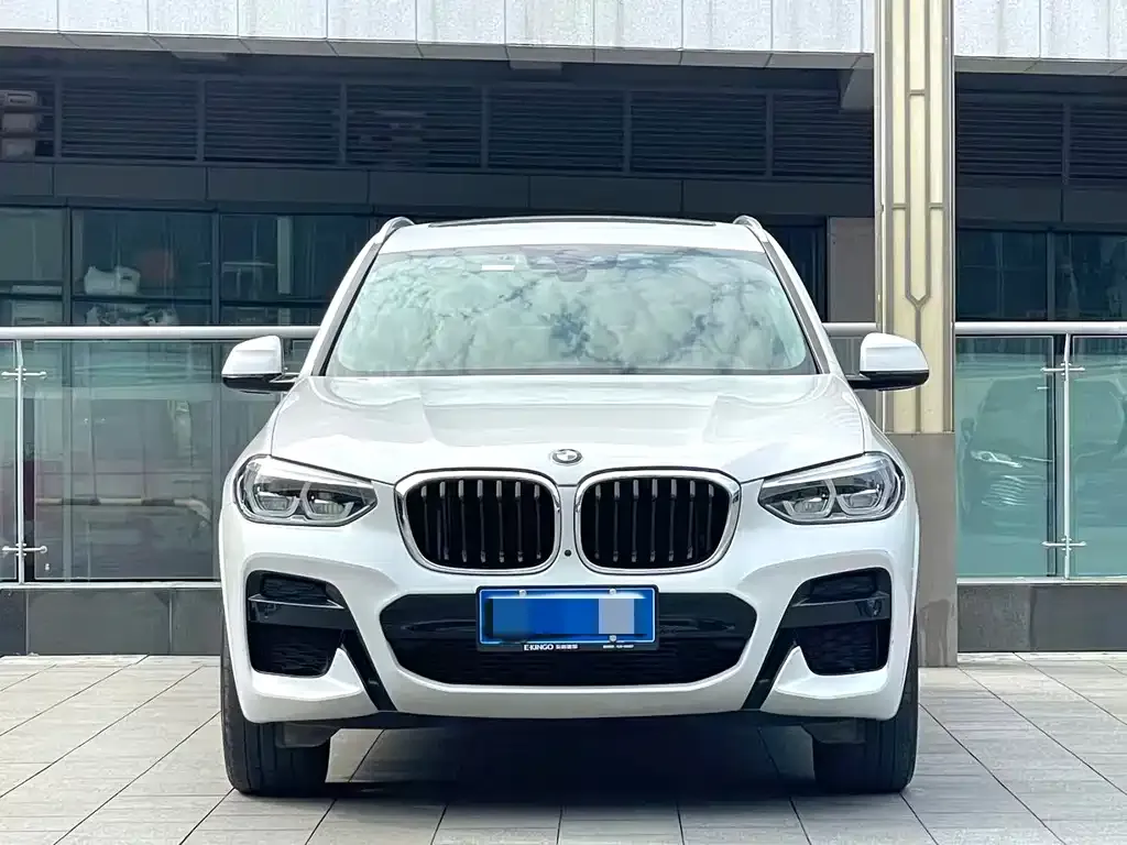 BMW X3 2021 из CN, фото 7