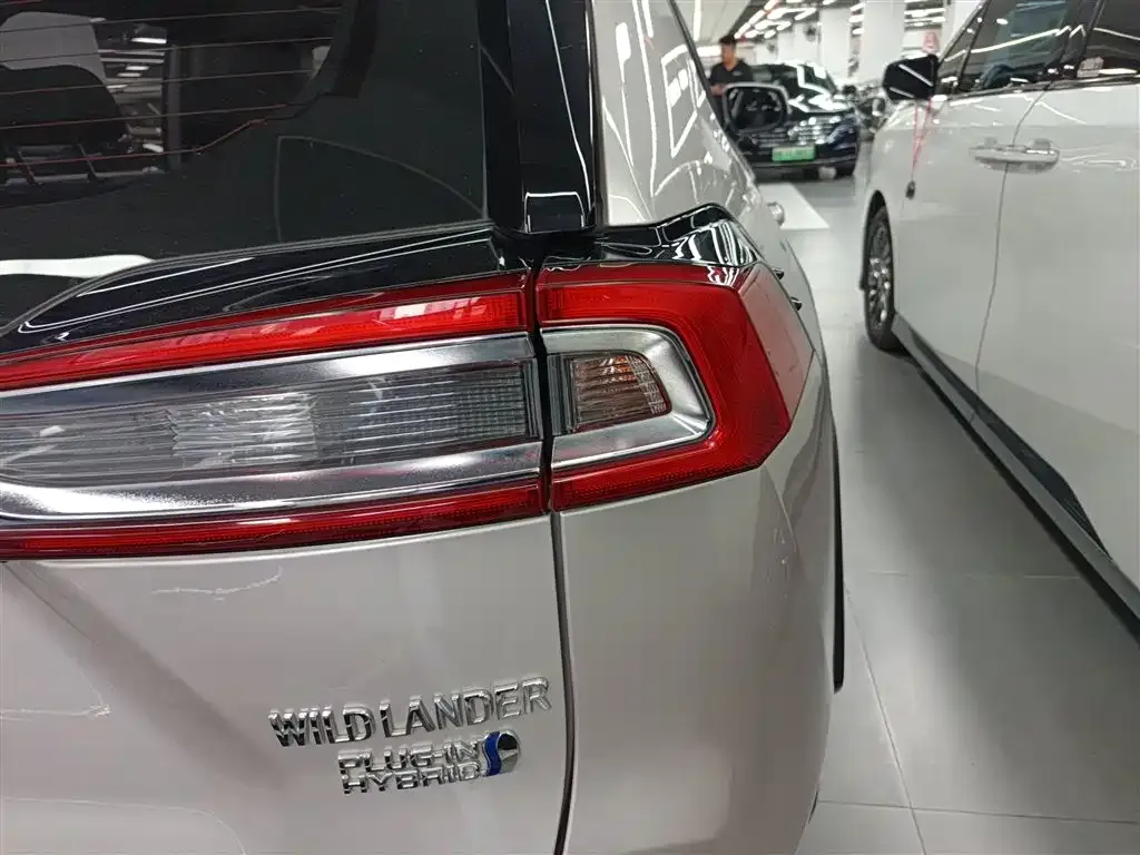 Toyota Wildlander New Energy 2023 из CN, фото 10