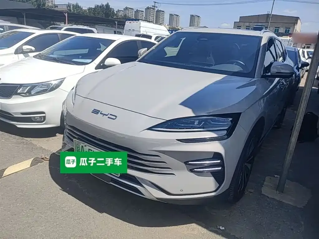 BYD PLUS New Energy — фото 2