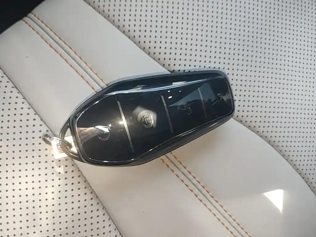 BYD PLUS New Energy — фото 4