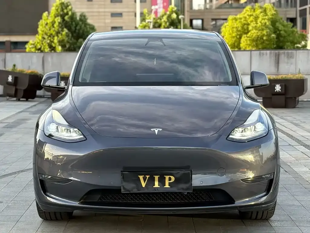 Tesla Model Y — фото 5