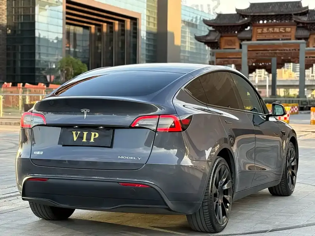 Tesla Model Y — фото 2