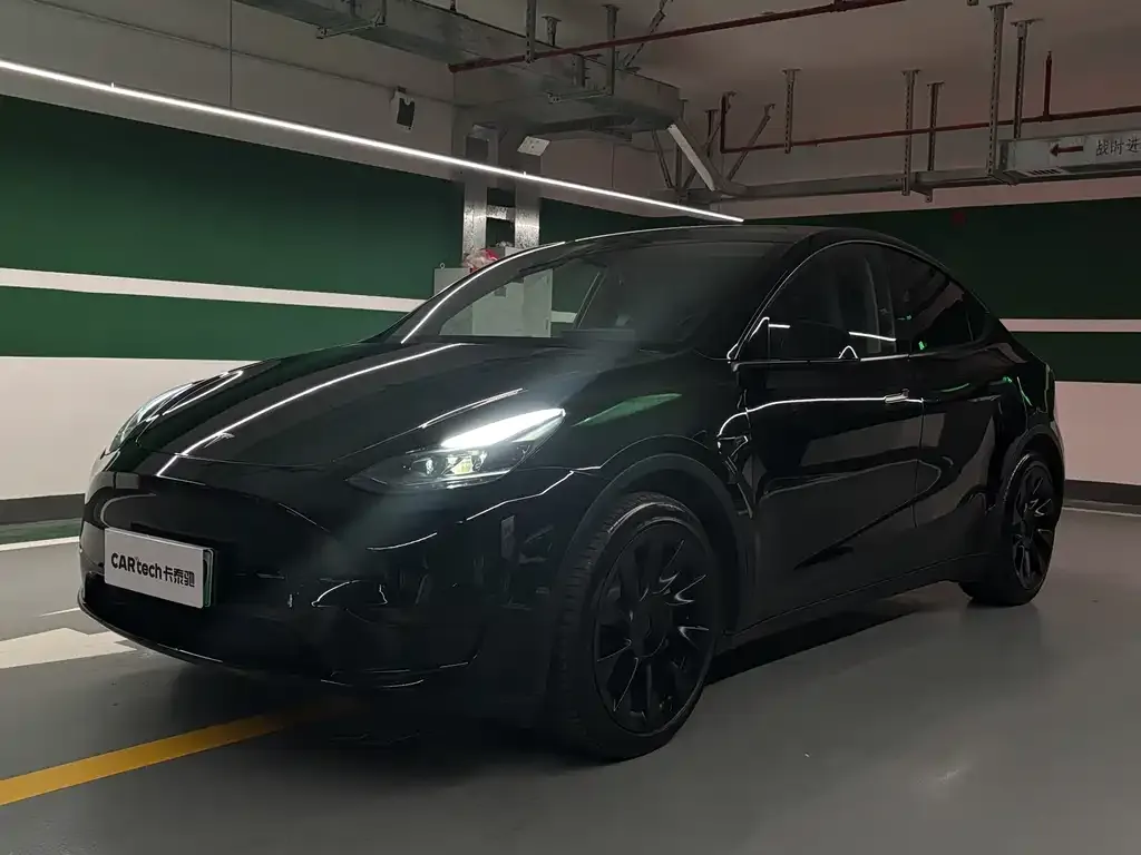Tesla Model Y — фото 1