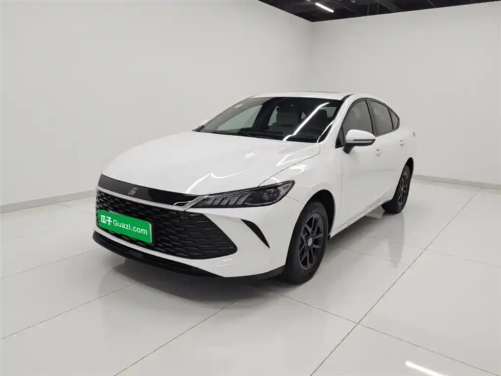 BYD Qin PLUS — фото 1