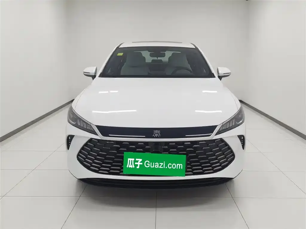 BYD Qin PLUS — фото 6