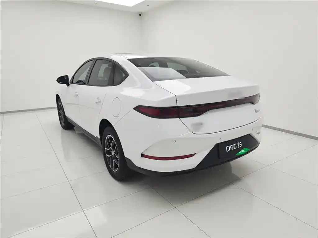BYD Qin PLUS — фото 2