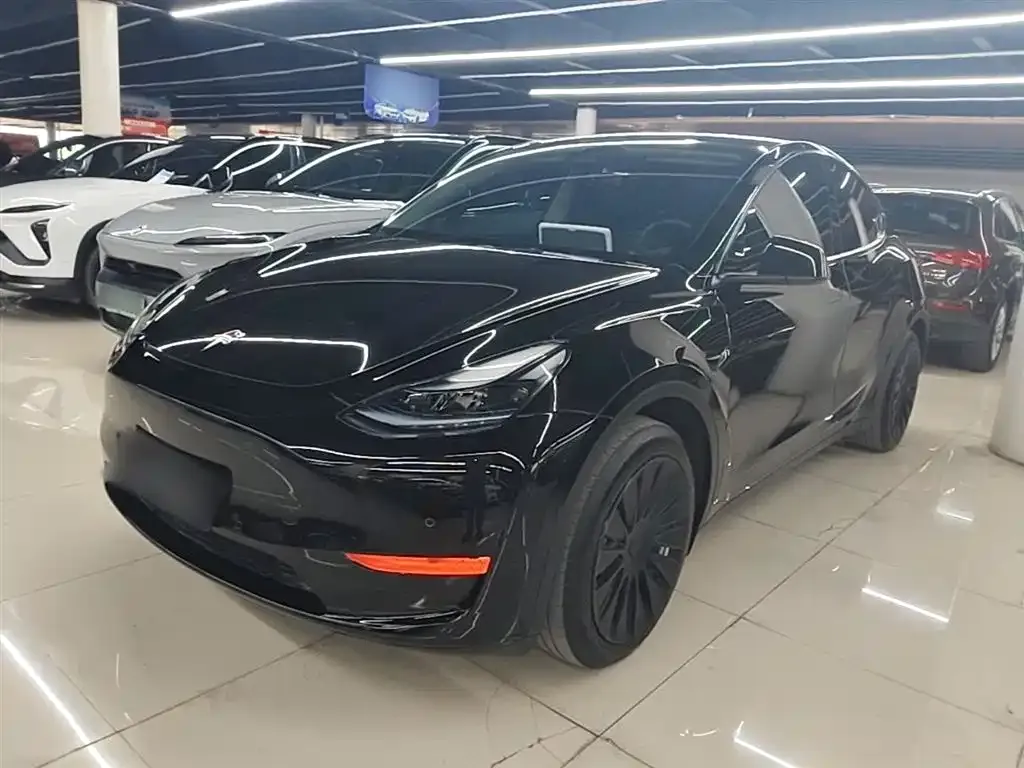 Tesla Model Y — фото 9