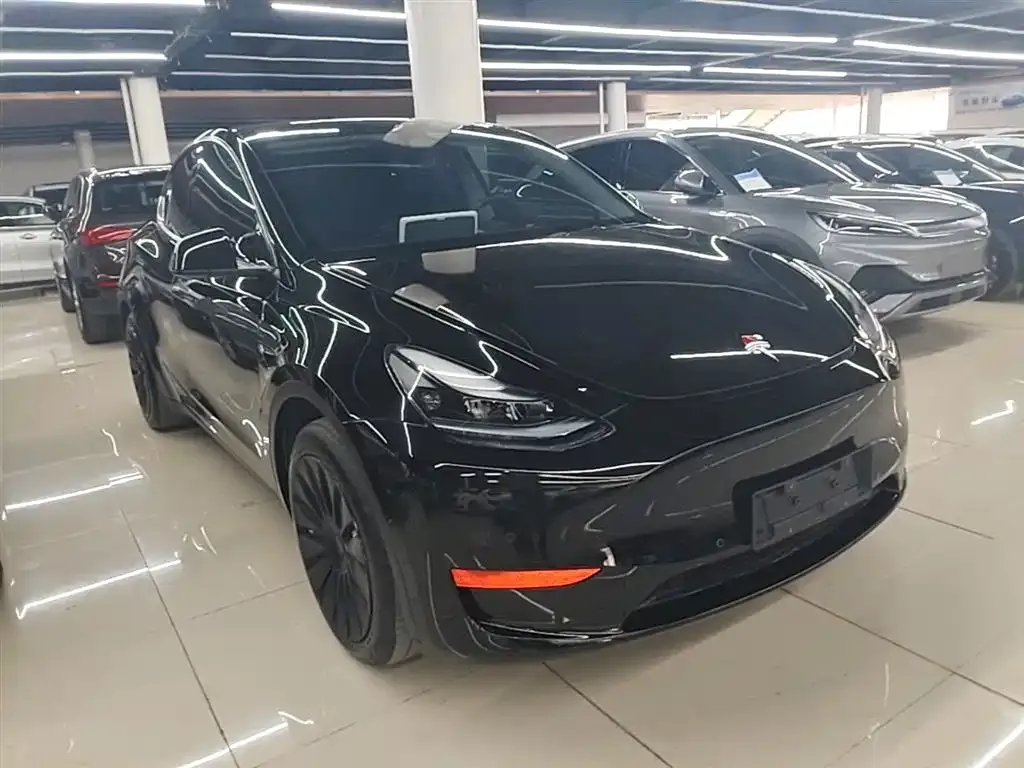 Tesla Model Y — фото 5