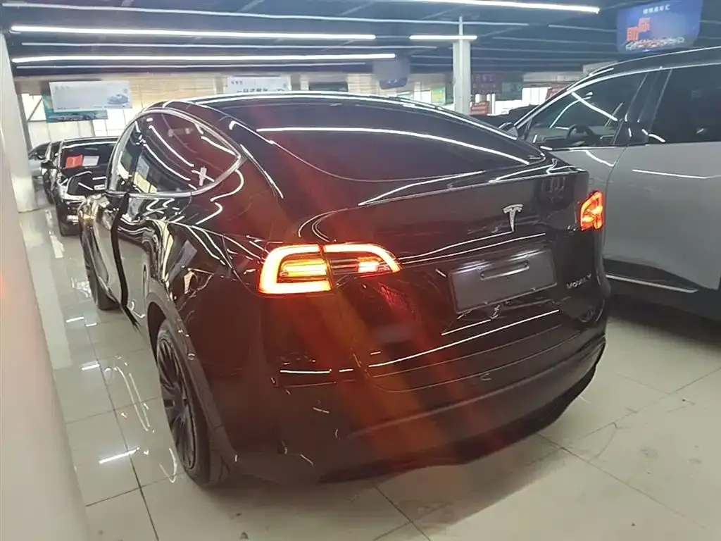 Tesla Model Y — фото 6