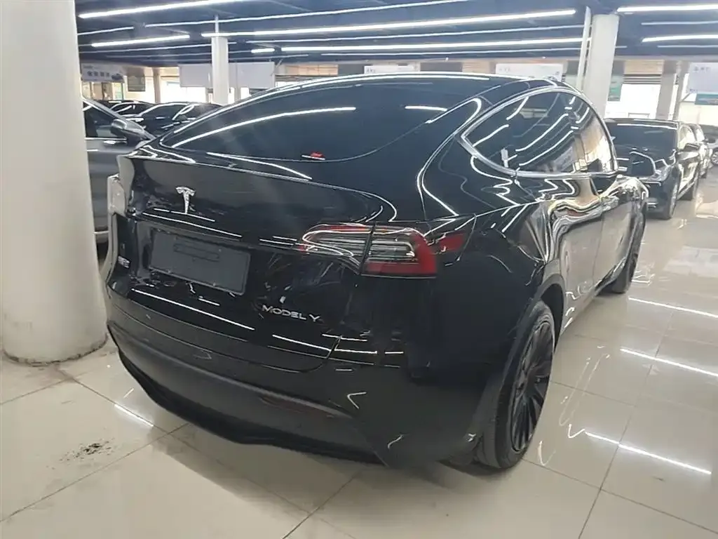 Tesla Model Y — фото 10