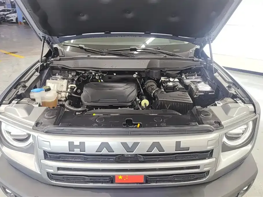Haval Big Dog 2024 из CN, фото 8