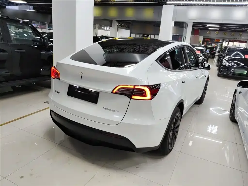 Tesla Model Y — фото 5