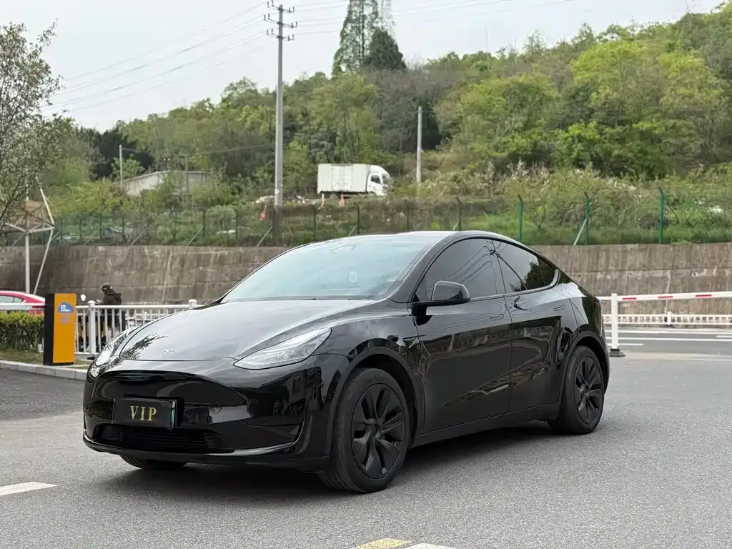 Tesla Model Y — фото 1