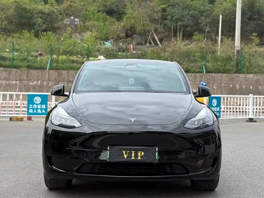 Tesla Model Y — фото 7