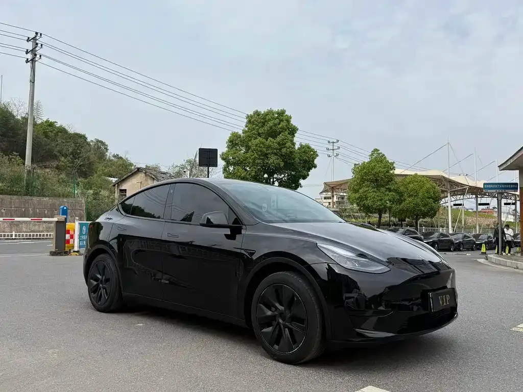 Tesla Model Y — фото 8