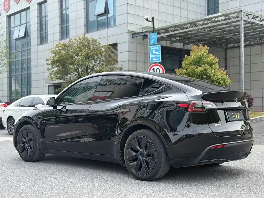 Tesla Model Y — фото 9