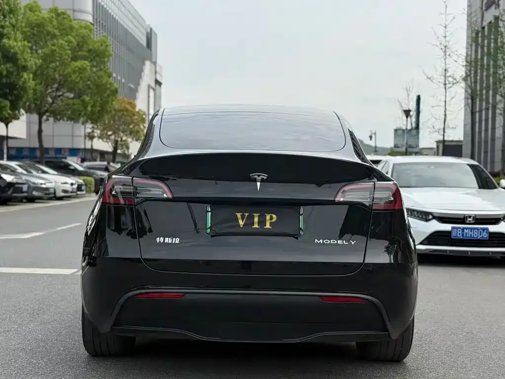 Tesla Model Y — фото 10