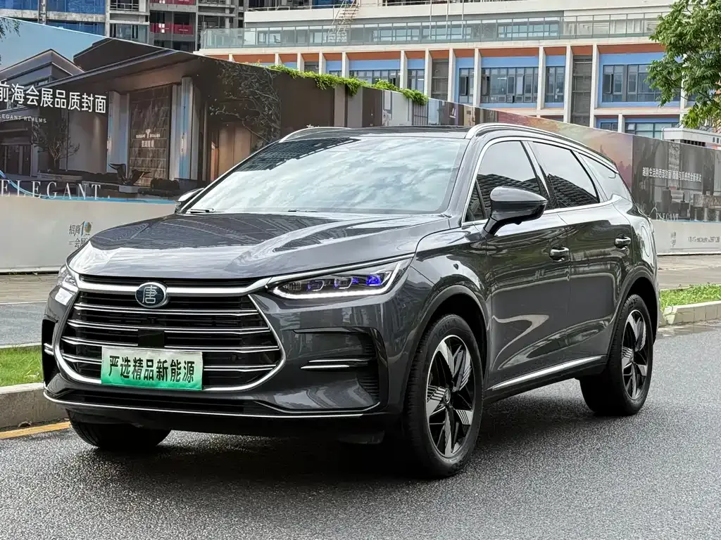 BYD Tang New Energy — фото 1