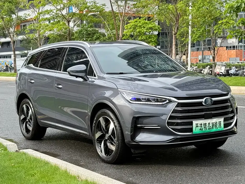 BYD Tang New Energy — фото 9