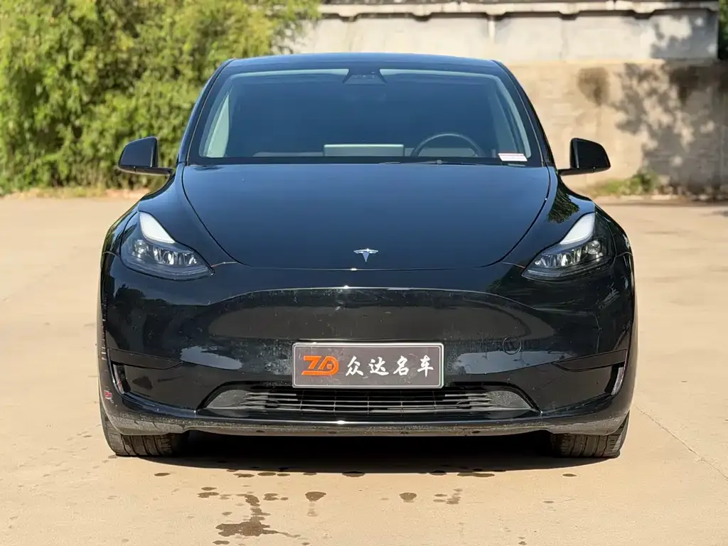 Tesla Model Y — фото 6
