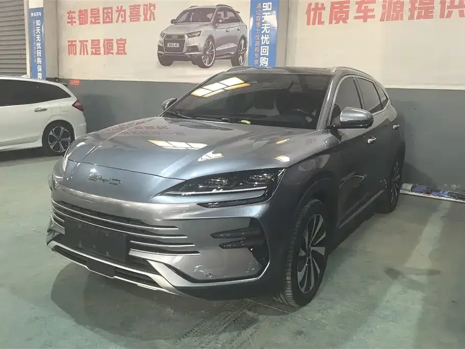 BYD PLUS New Energy — фото 1