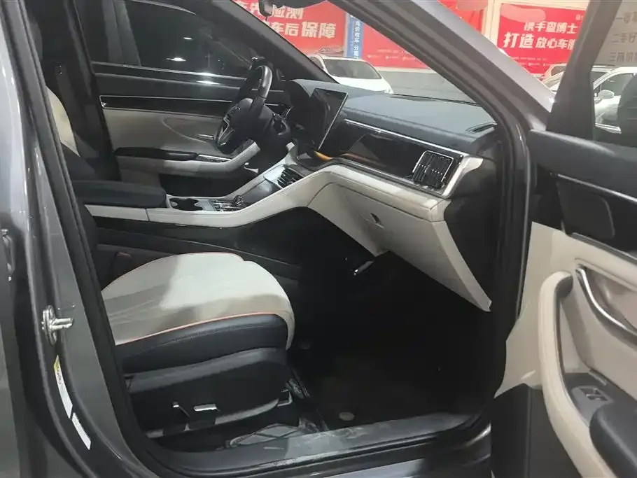 BYD PLUS New Energy — фото 5