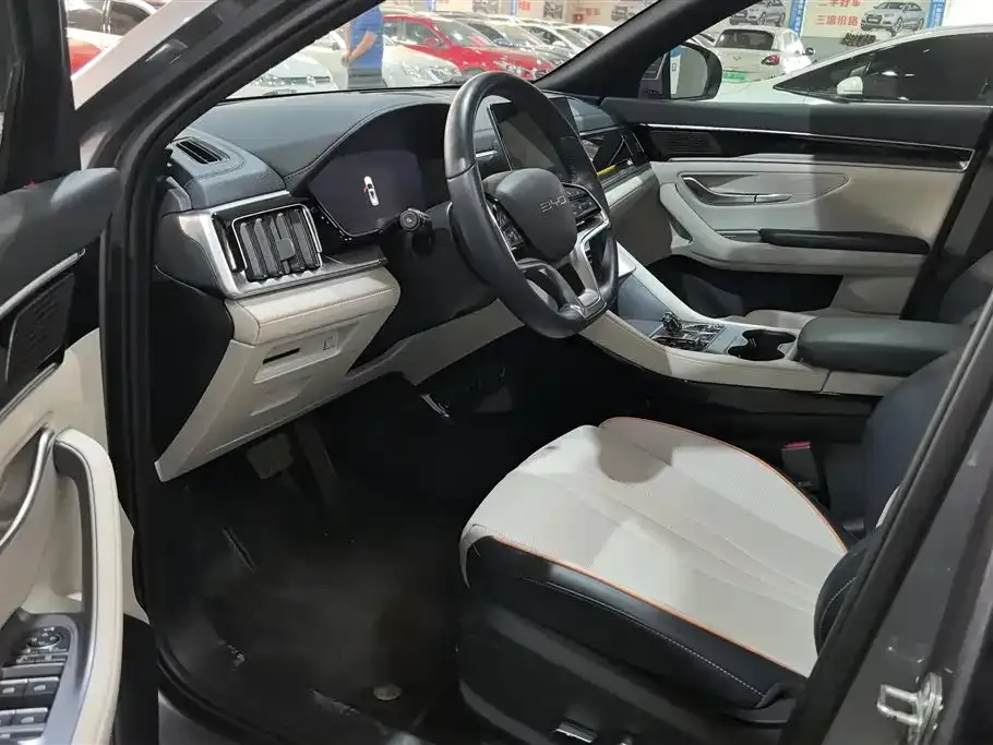 BYD PLUS New Energy — фото 10