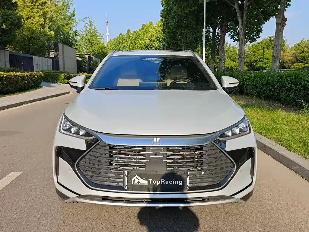 BYD Tang New Energy — фото 10