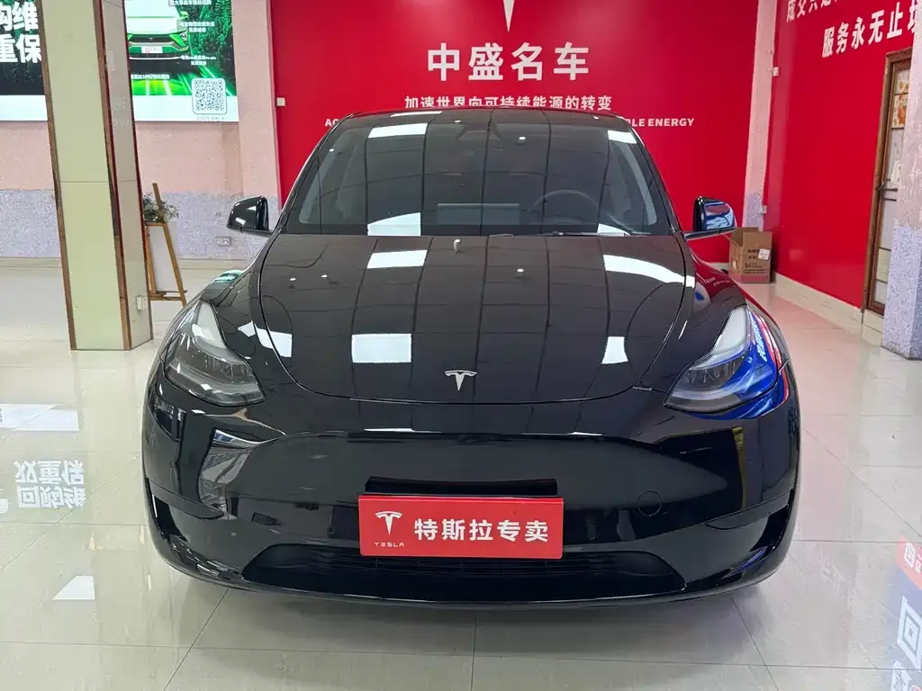Tesla Model Y — фото 8
