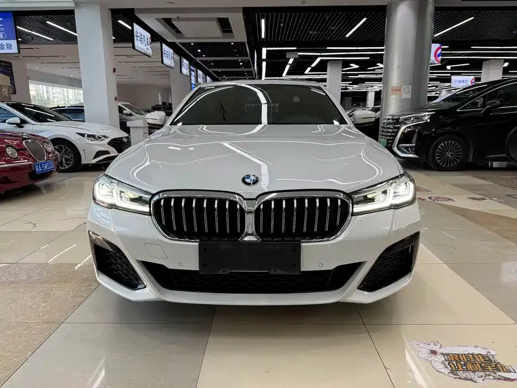 BMW 5 Series 2023 из CN, фото 10