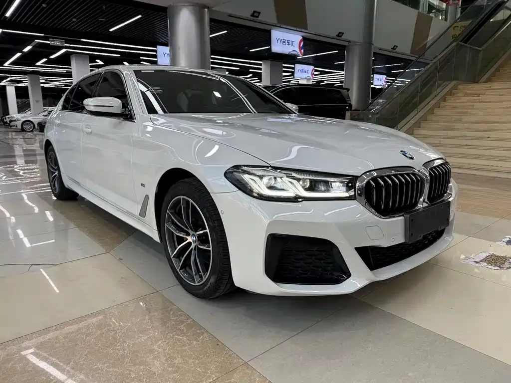 BMW 5 Series 2023 из CN, фото 6