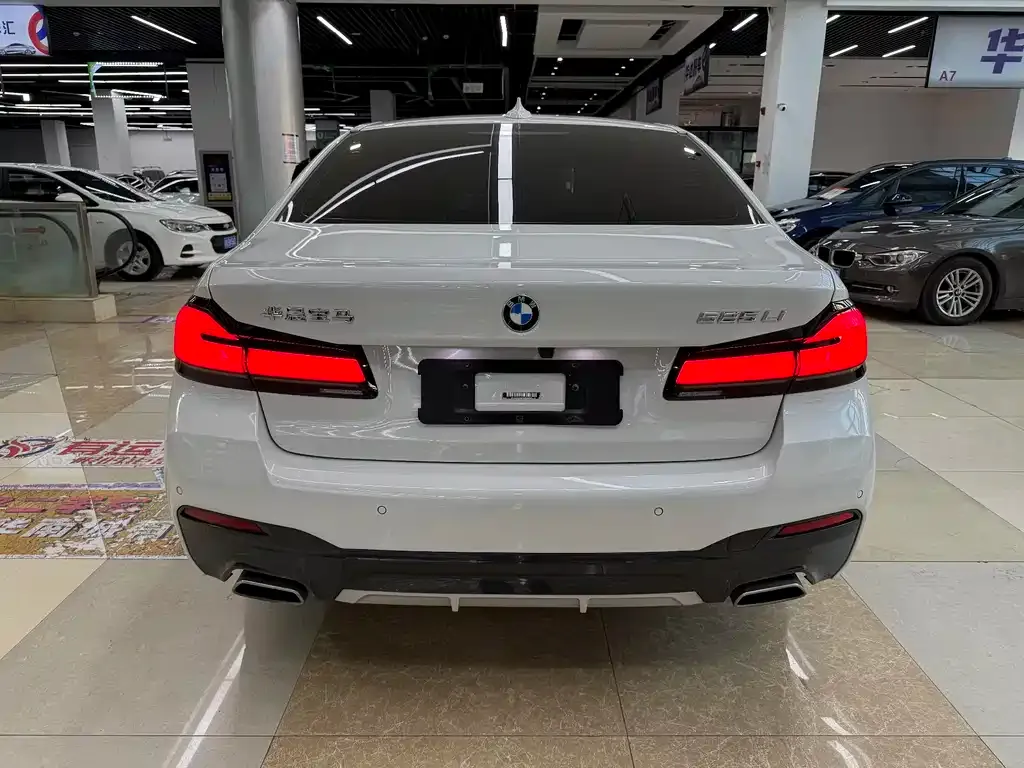 BMW 5 Series 2023 из CN, фото 7