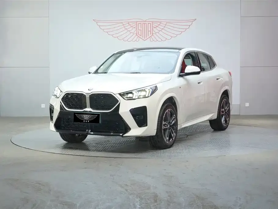 BMW X2 (Import) — фото 1