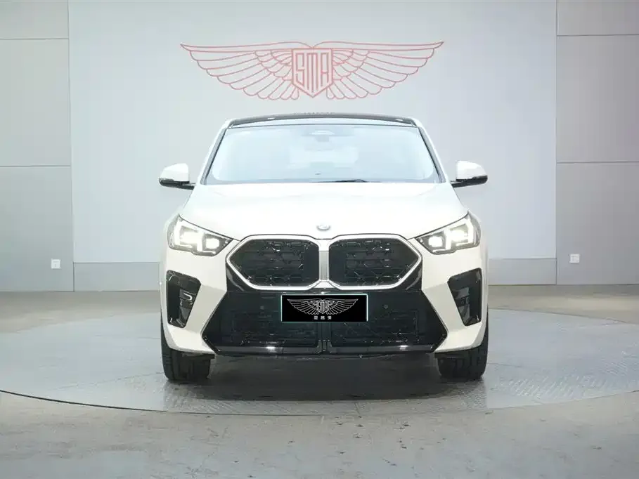 BMW X2 (Import) — фото 6