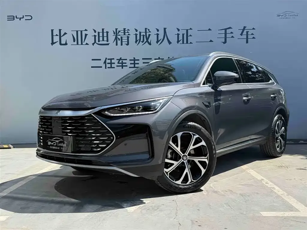 BYD Tang New Energy — фото 1