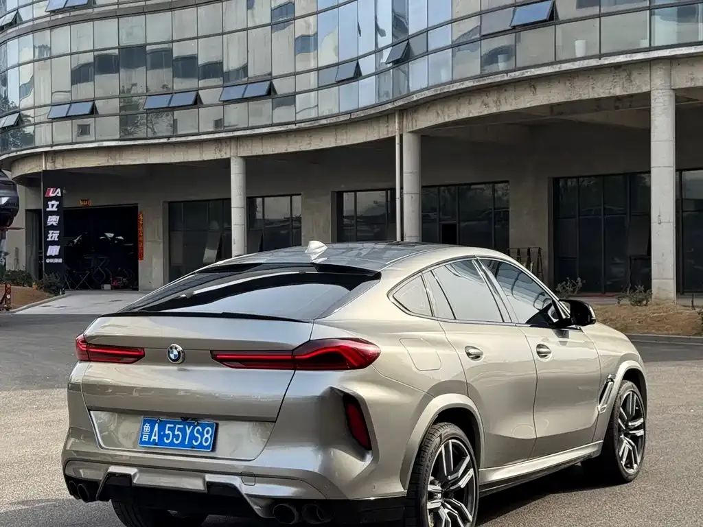 BMW X6 M 2021 из CN, фото 8