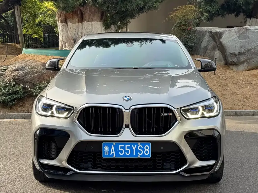 BMW X6 M 2021 из CN, фото 6