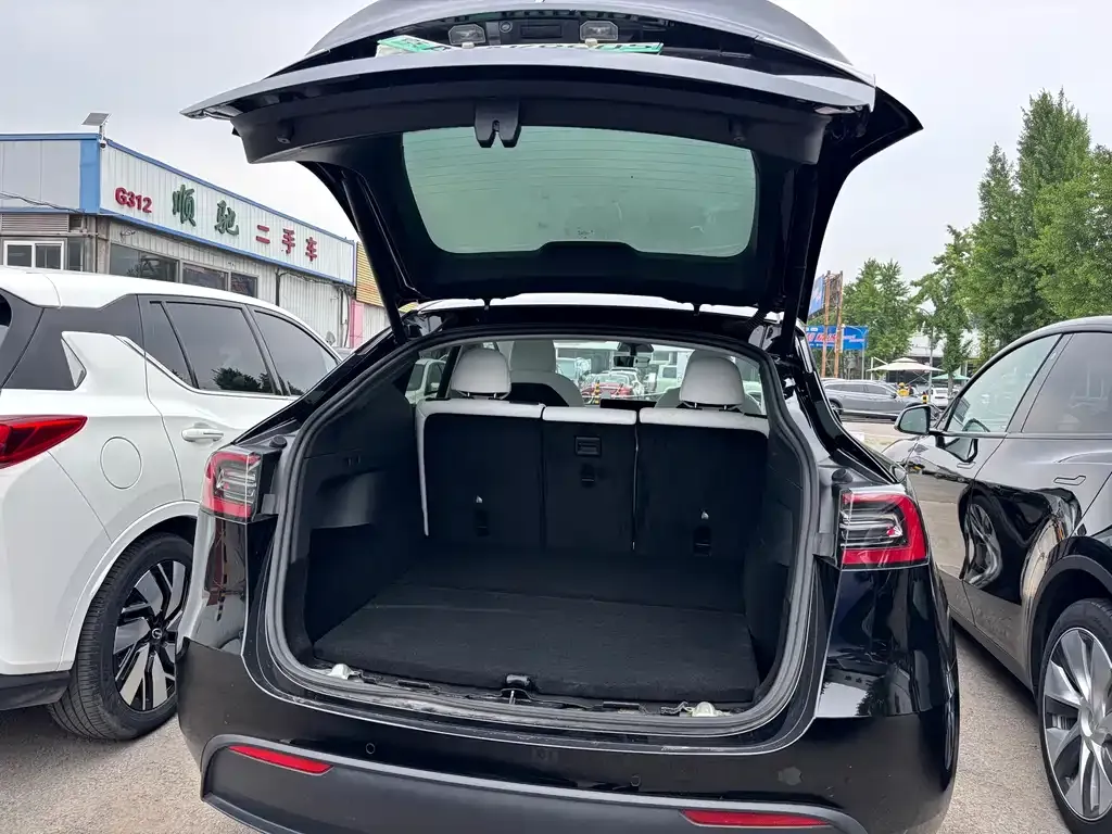 Tesla Model Y — фото 6
